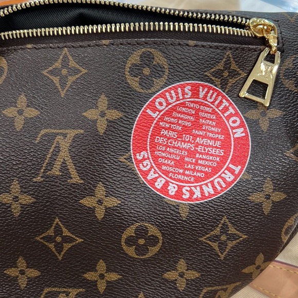 LOUIS VUITTON MONOGRAM MY LV WORLD TOUR CUSTOM BUMBAG 2020 **RARE BAG*** - Picture 10 of 17